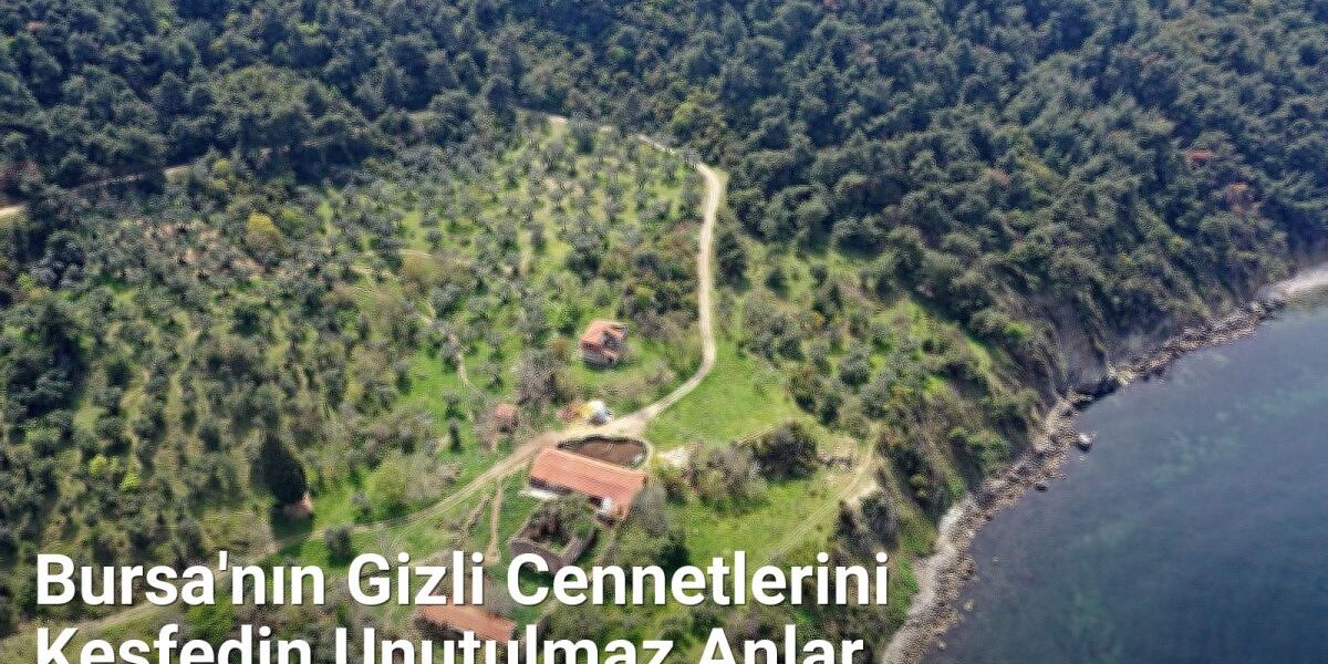 Bursa'nın Gizli Cennetlerini Keşfedin Unutulmaz Anlar - bursaseyirdefteri.net.tc