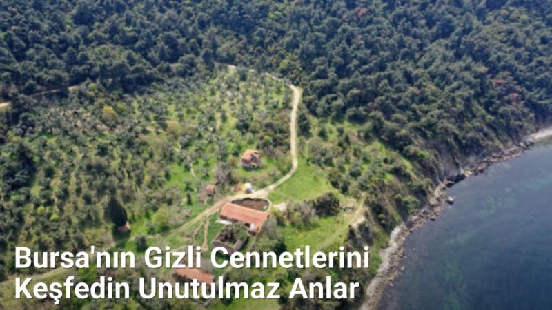Bursa'nın Gizli Cennetlerini Keşfedin Unutulmaz Anlar - bursaseyirdefteri.net.tc